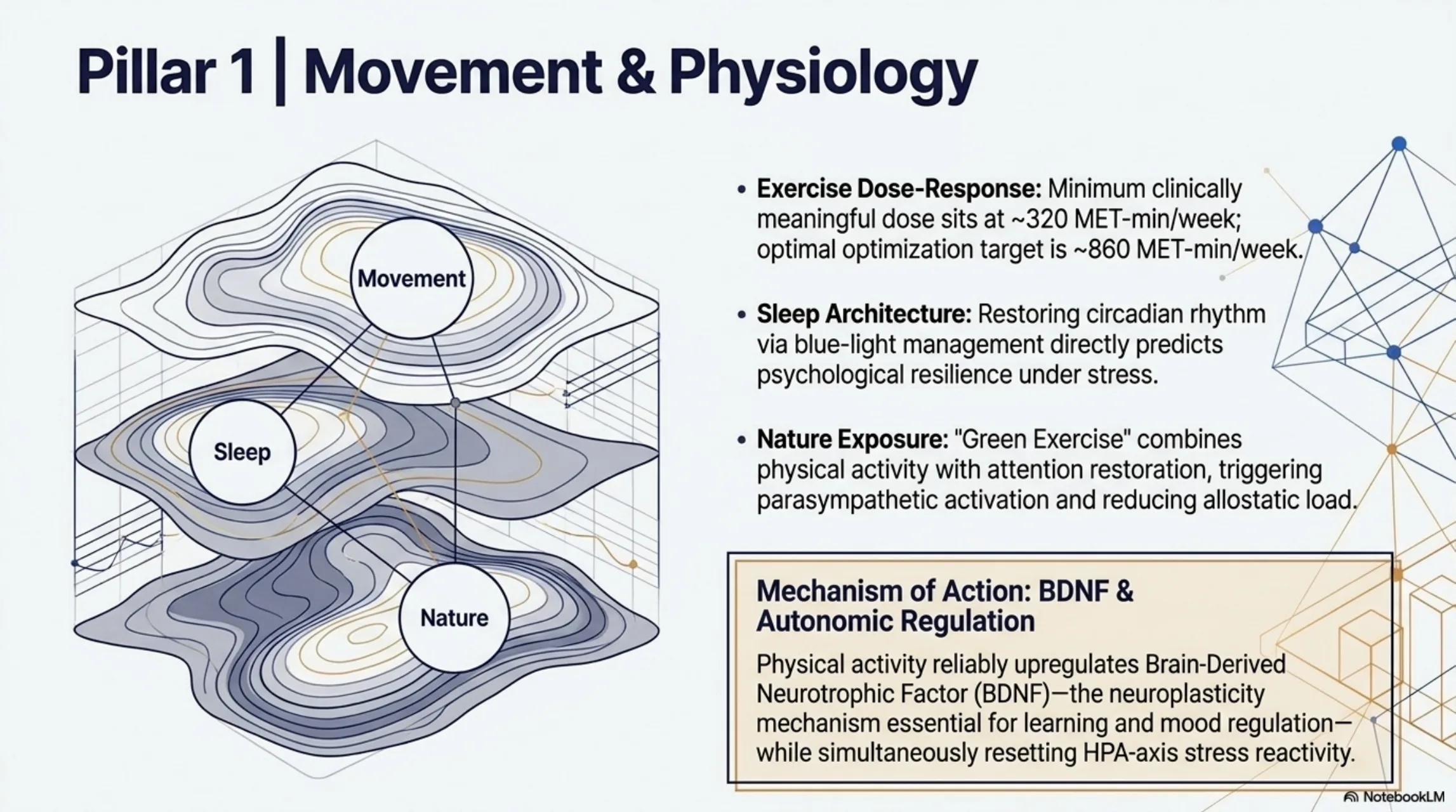Pillar 1: Movement and Physiology. Interleaved hill landscapes representing the triad of Movement, Sleep, and Nature.