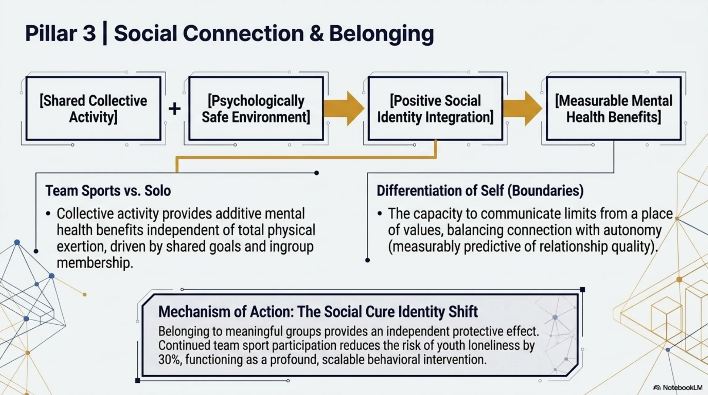 Pillar 3: Social Connection and Belonging. Sequential diagram showing how shared collective activity plus psychologically safe environment plus positive social identity integration leads to measurable mental health benefits.